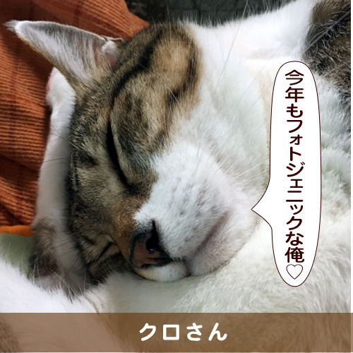 20170113_touko.jpg