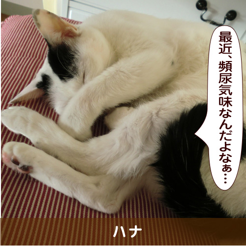 20170116_touko.jpg