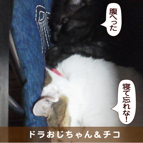 20170118_touko.jpg