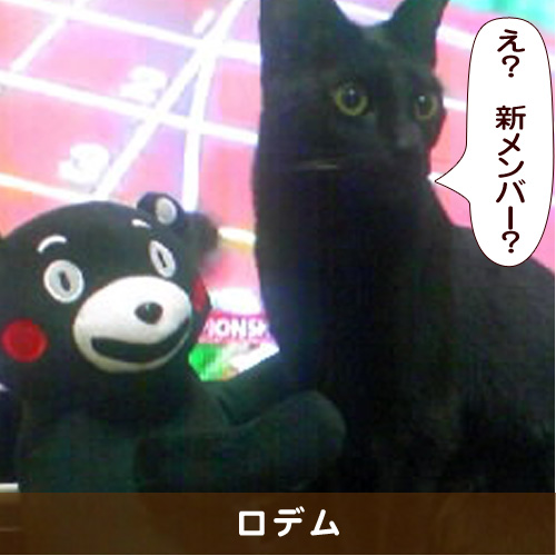 20170122_touko.jpg