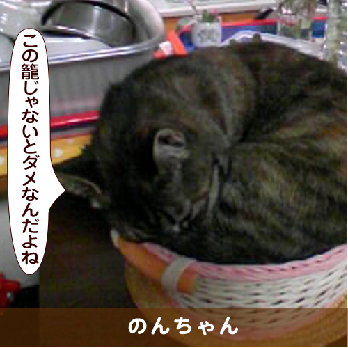 20170220_touko.jpg