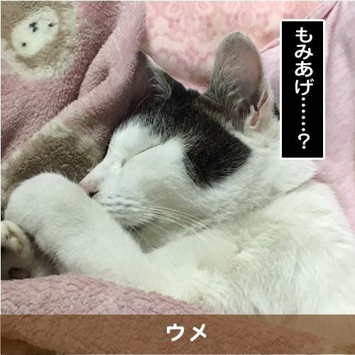 20170221_touko.jpg
