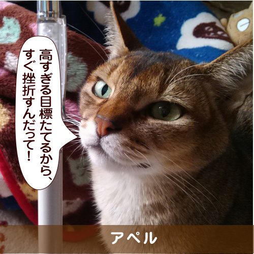 20170222_touko.jpg