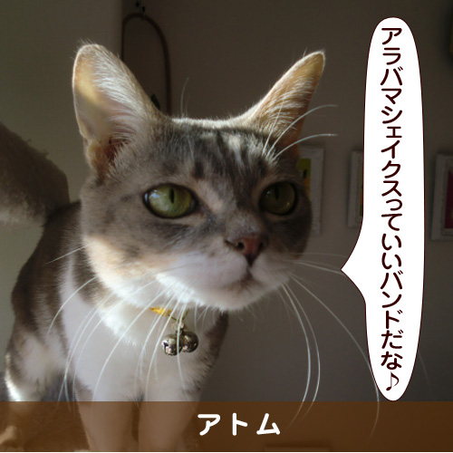20170223_touko.jpg