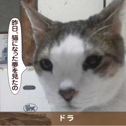 20170306_touko.jpg