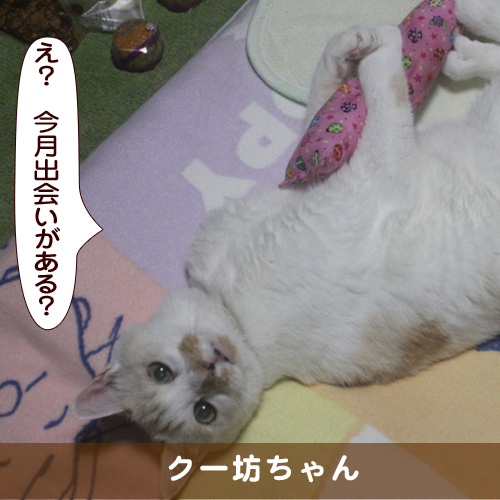 20170314_touko.jpg