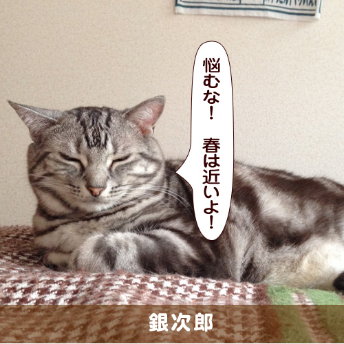 20170317_touko.jpg