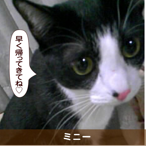 20170320_touko.jpg