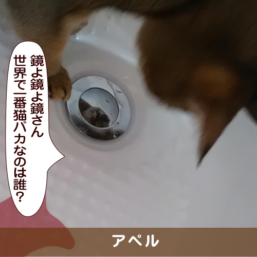 20170322_touko.jpg