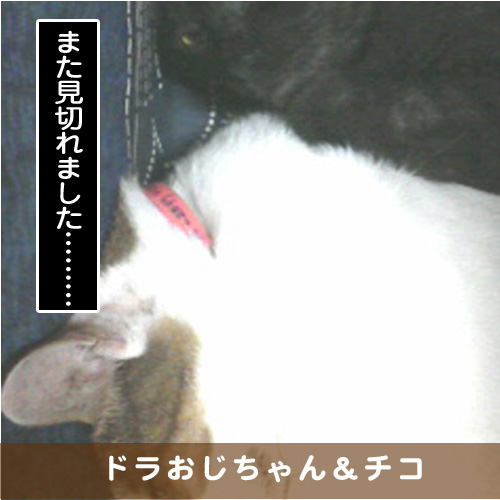 20170323_touko.jpg