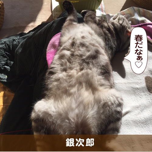 20170402_touko.jpg