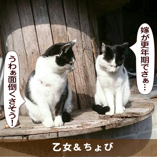 20170403_touko.jpg