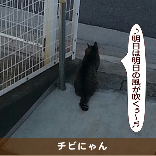 20170413_touko.jpg