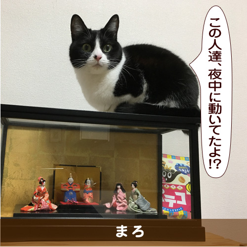 20170422_touko.jpg