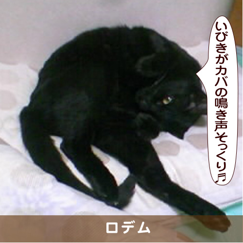 20170423_touko.jpg