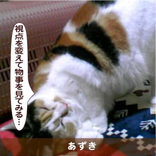 20170425_touko.jpg
