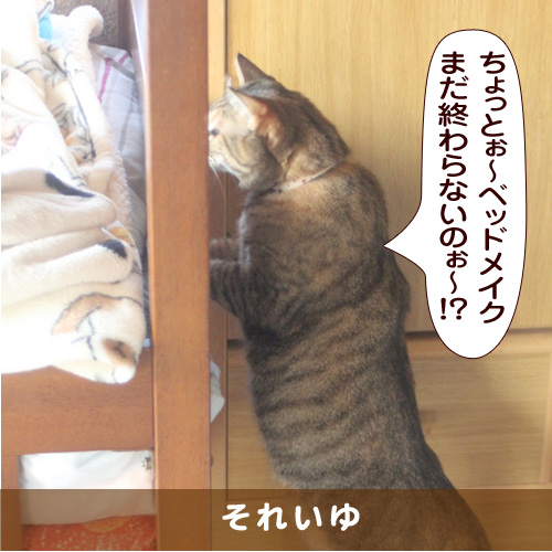 20170508_touko.jpg