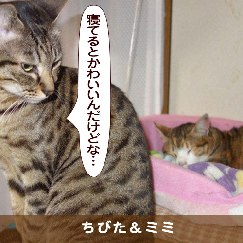 20170524_touko.jpg