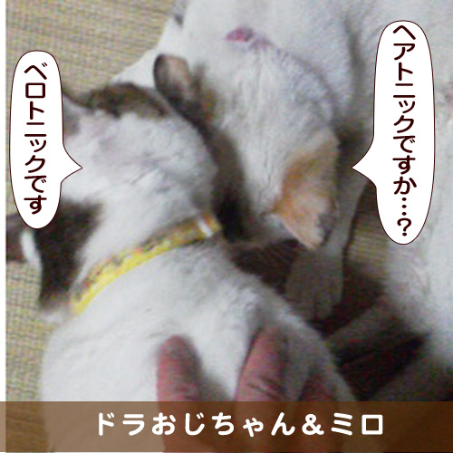 20170525_touko.jpg