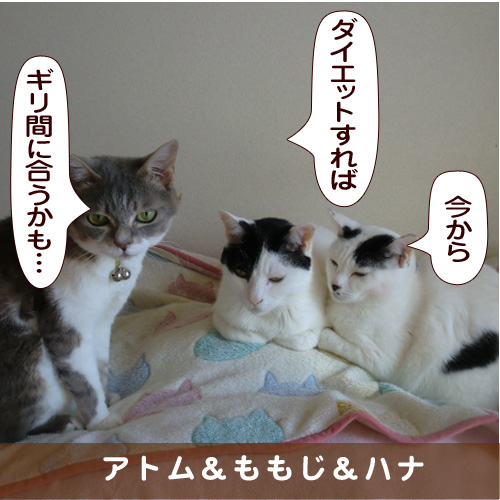20170526_touko.jpg