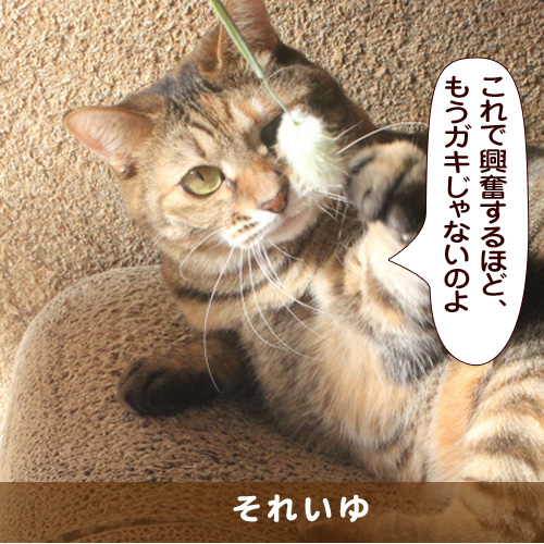 20170617_touko.jpg