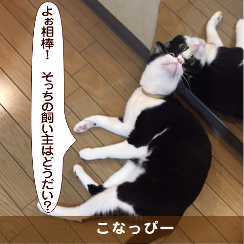 20170618_touko.jpg