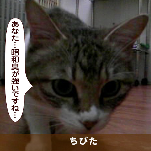 20170621_touko.jpg