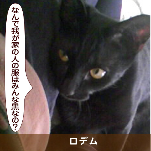 20170623_touko.jpg