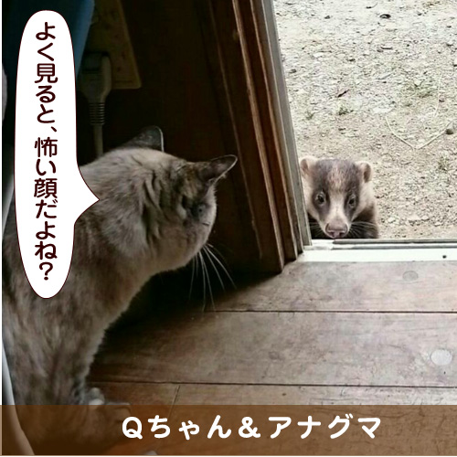 20170624_touko.jpg