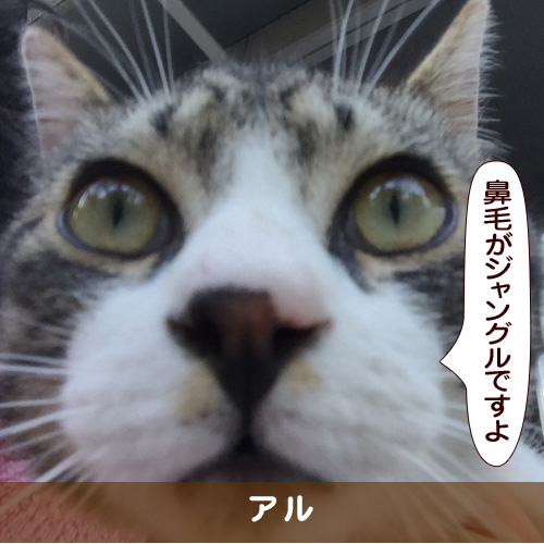 20170713_touko.jpg