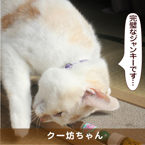 20170812_touko.jpg
