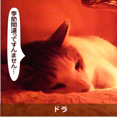 20170823_touko.jpg