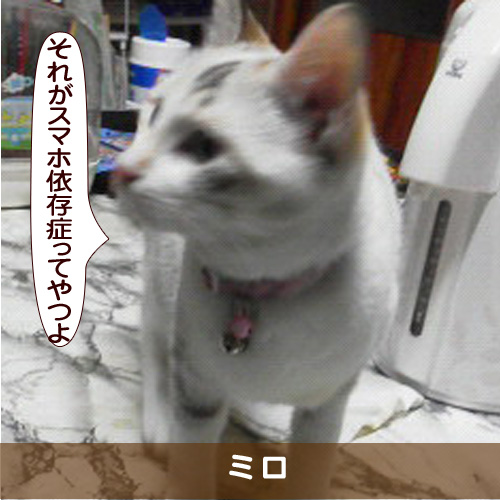 20170825_touko.jpg