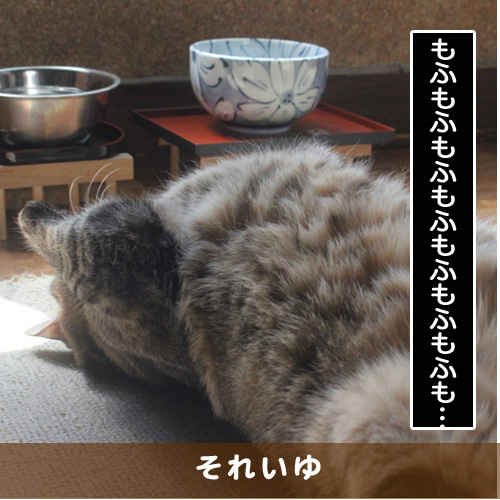 20170905_touko.jpg