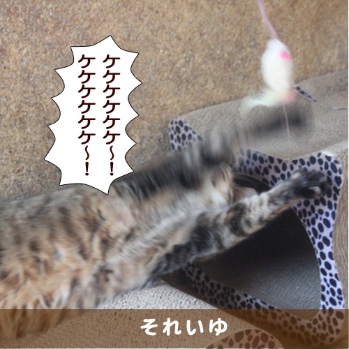 20171016_touko.jpg