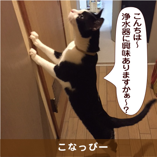 20171017_touko.jpg