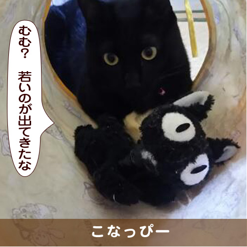 20171018_touko.jpg