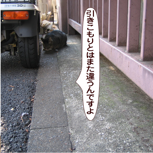 20171029_touko.jpg