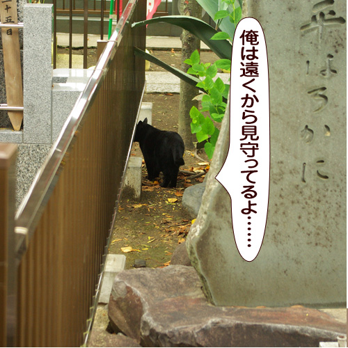 20171030_touko.jpg