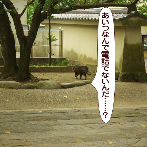 20171031_touko.jpg