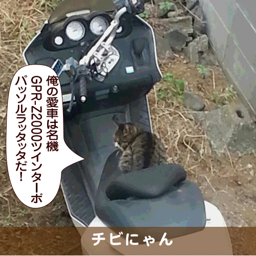 20171102_touko.jpg