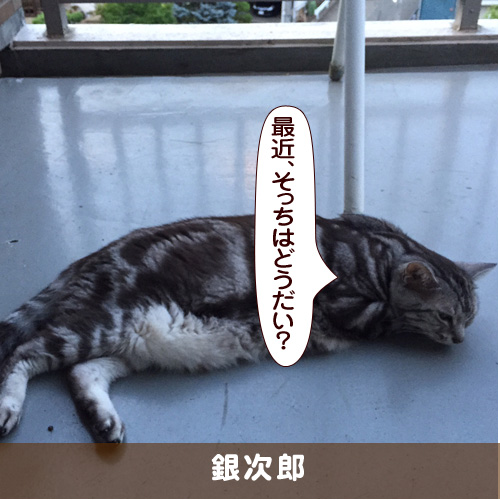 20171103_touko.jpg
