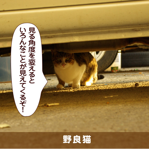 20171125_touko.jpg