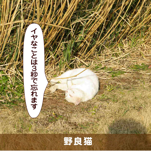 20171126_touko.jpg