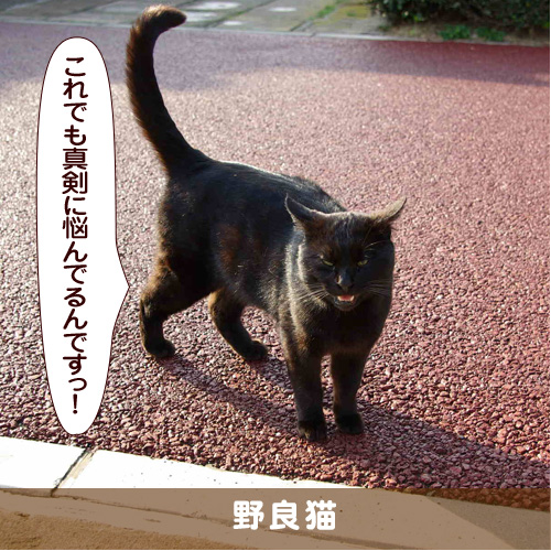 20171127_touko.jpg