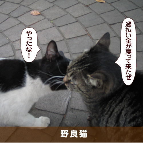 20171130_touko.jpg