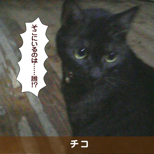 20171213_touko.jpg