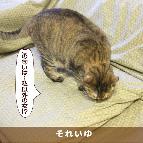 20171214_touko.jpg