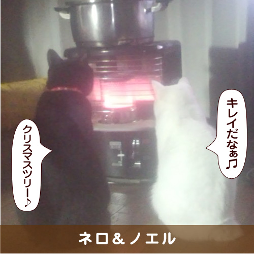 20180115_touko.jpg