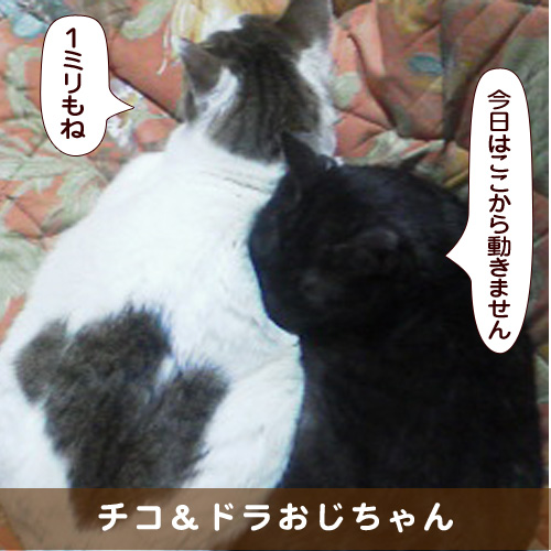 20180222_touko.jpg
